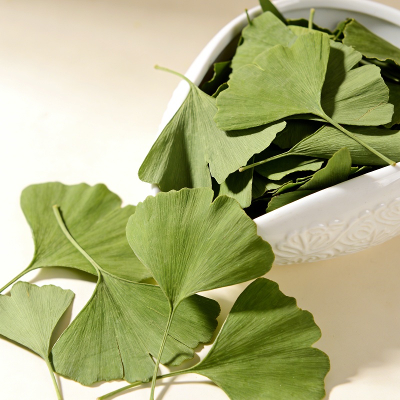 Jewelry Making 3 Year Old - Hojas Secas de Ginkgo Biloba de