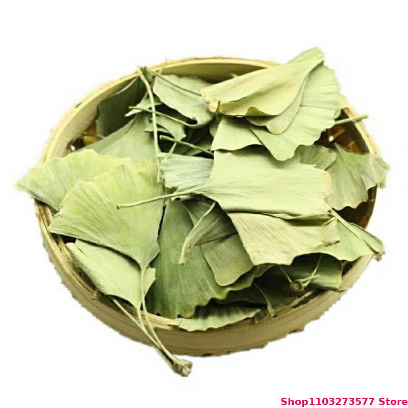 Hojas Secas de Ginkgo Biloba d - Jewelry Making 3 Year Old reseña y precio