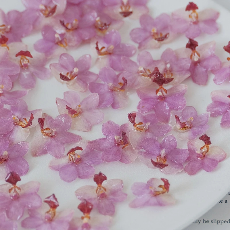 Kit de orquídeas de resina ros - Jewelry Making Birthday Party reseña y precio